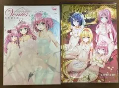 2026年最新】ToLoveるダークネス 画集の人気アイテム - メルカリ