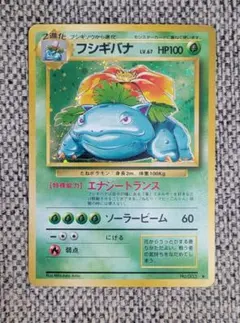 フシギバナ 旧裏