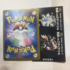 ポケモンカード、 色違い ミライドン コライドン