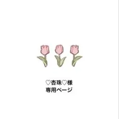 ♡杏珠♡ 様　専用ページ　詰め放題 !