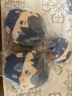 ハイキュー　ぬいくじ　くじメイト　影山　D賞　E賞　ふわコロりん　てのりんず