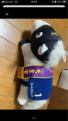 サラブレッドコレクション ねそべりBIGぬいぐるみ ゴールドシップ