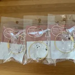 か*ね様 わんこのタイムカプセル　愛犬の毛の入れ物　モカ　むぎ　モコ