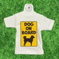 Item thumbnail for item 3a9bc132-b971-4d4e-9fa1-7ff97a51aedc