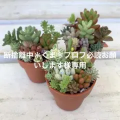 断捨離中＊くま＊プロフ必読お願いします様 リクエスト 3点 まとめ商品