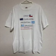 フルーツオブザルーム　Tシャツ　プリント　国旗