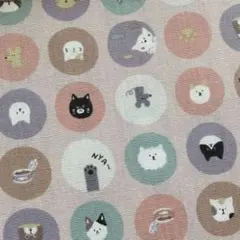 CBポプリン 猫 サークル 水玉 ピンク 50㎝ 生地