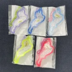 琵琶湖キーホルダー　ビーフ　5色セット