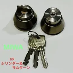 Item thumbnail for item 1d2c5c00-329b-42f2-a455-a1d7e79a4d7b