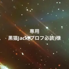 専用ページ 黒猫Jack(プロフ必読)様12/28