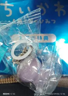 映画ちいかわ 　人魚の島のひみつ　フタバ　めじるしチャーム