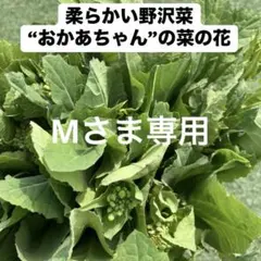 M様専用　野沢菜の菜の花　400g