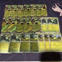 ポケモンカード　オリーヴァex オリーニョ　ミニーブ　まとめのサムネイル
