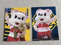 ブレックス宇都宮　ベリーちゃん　トレカ2枚セット