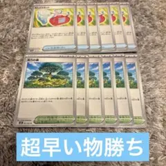 むしとりセット　活力の森　各6枚