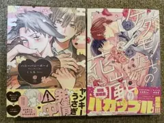 ハニーバニーボーイ ケダモノたちの花に嵐 くら毛 BL 新刊 まとめ売り セット