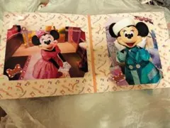 ディズニー ミニー ミニスタ 写真　スペフォ　スペシャルフォト台紙