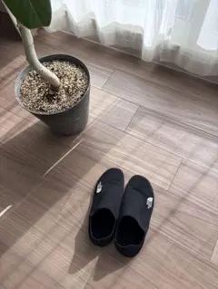 Item thumbnail for item 7643ac81-15e7-444f-b974-d29cdb1a1b0f