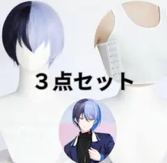 プロジェクトセカイ プロセカ 青柳冬弥 コスプレ ウィッグ Amazon.co.jp: コスプレウィッグ プロジェクトセカイ カラフル