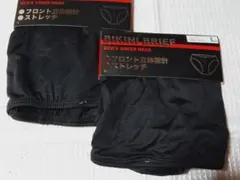 ビキニブリーフ Lサイズ 黒2枚セット