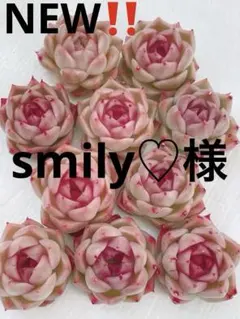 smily♡様 リクエスト 3点 まとめ商品