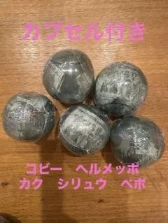 ワンピース ワンピの実 第十五海戦　コビー　ヘルメッポ　カク　シリュウ　ベポ