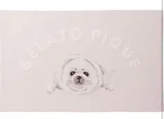 ジェラートピケ 布団・毛布