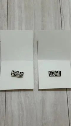 SEVENTEEN VERNON バーノン ピンズ　holiday