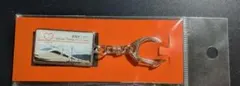 小田急ロマンスカー VSE 50000形 引退記念ドーム型キーホルダー