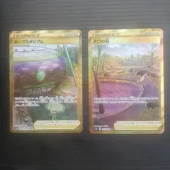 ポケモンカード ターフスタジアム 大口の沼 UR 2枚セットのサムネイル