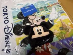 東京ディズニーリゾート ミッキー ぬいぐるみ キーチェーン