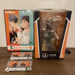 ハイキュー‼︎ 日向翔陽フィギュアハッピーくじA賞アクリルパネル 缶バッジセット