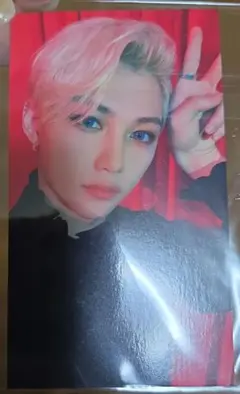 2025年最新】フィリックス チェキの人気アイテム - メルカリ