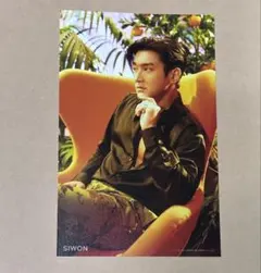 シウォン SUPERJUNIOR Mango 4×6 PHOTO 写真