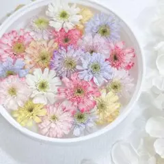 かよ様 リクエスト 2点 まとめ商品