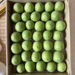 群馬県榛名産 白加賀梅 】 2kg【L〜4L 】農薬不使用 化学肥料不使用 