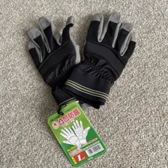 Item thumbnail for item 0637d25a-1a74-4785-a532-92b299a10a43