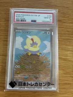 ポケモンカードPSA10 ワシボン AR 2026年最新】ワシボンの人気アイテム - メルカリ