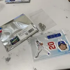 2026年最新】涌井秀章 アクリルの人気アイテム - メルカリ