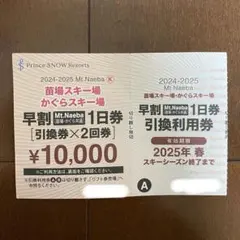 2025年最新】かぐらリフト券の人気アイテム - メルカリ