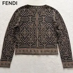 極美品✨FENDI フェンディ ニット カットソー　トップス ズッカ　ペカン柄