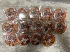 めいちゃん ひきフェス 缶バッジ