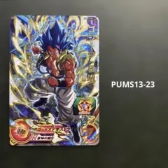 ゴジータ : BM PUMS13-23