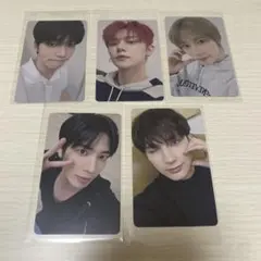 TXT sanctuary トレカ　ユニバ　ラキドロ