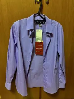 Item thumbnail for item 0cd29445-ce32-4282-a38b-8b3d75dc41ae