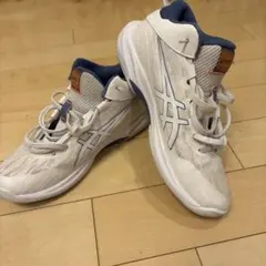 asics ゲルフープV17