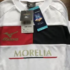 Item thumbnail for item 1b8977d1-0a8b-41ce-a1bd-1c0c0ecf1f05