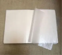 Item thumbnail for item 6811da2d-4250-4df1-9687-2e185358e26e