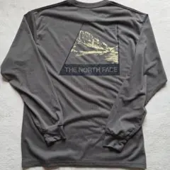 【にゃんた様専用】ノースフェイス　ロングスリーブTNFバグフリーT　　XL