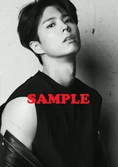 パクボゴム／32／A4サイズ写真／人気品、無くなり次第終了／パクボゴムkrair